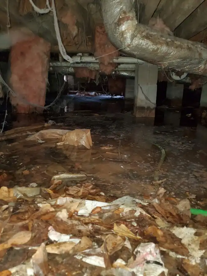 Crawl space flood assessment for Leak Detection & Repair in Park Ridge