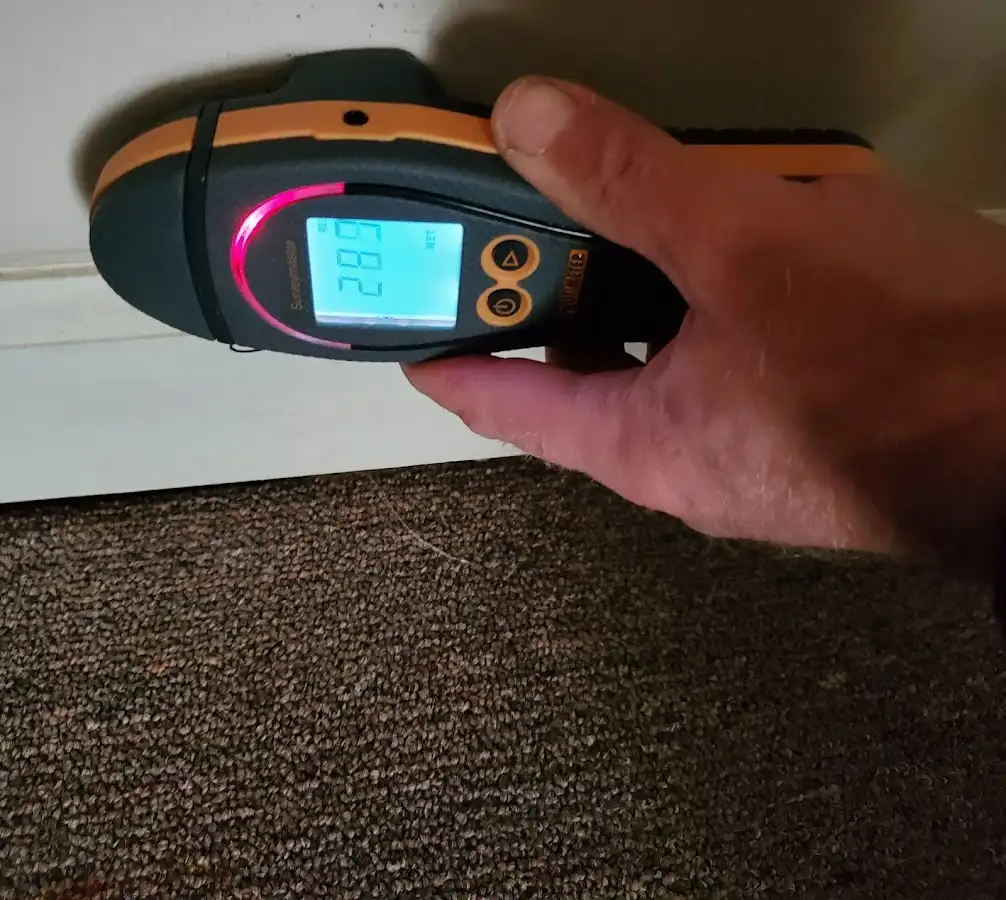 Moisture detection at baseboard during Sewage Cleanup & Sanitation in Park Ridge
